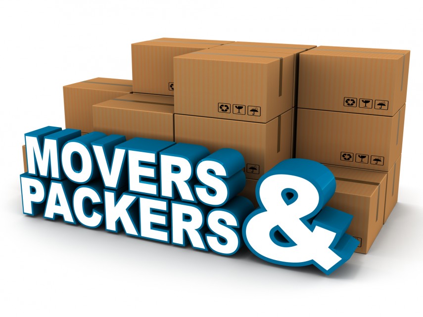 Saniya Packers and Movers